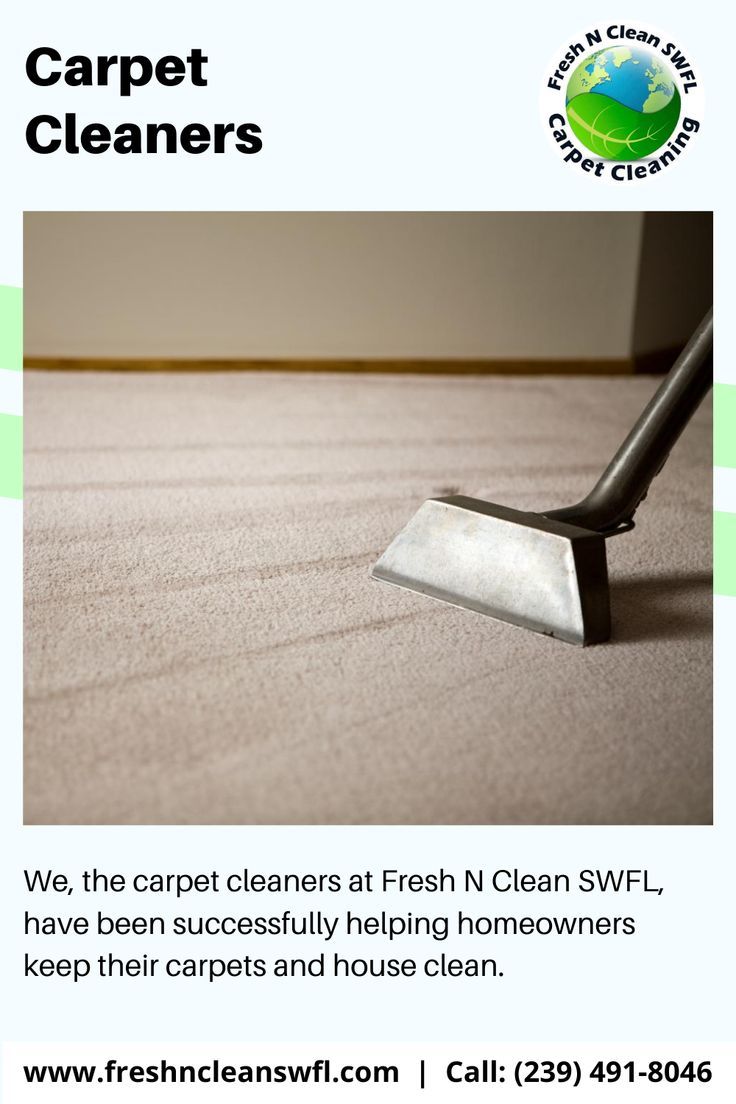 Fresh N Clean SWFL